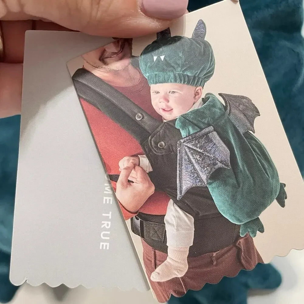 Cloud Island Infant Carrier Bat Costume Cover